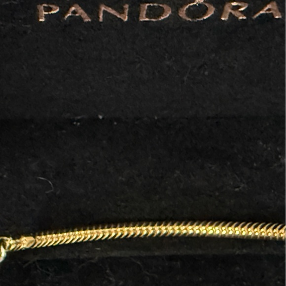 Pandora Two-Tone Gold and Silver Bracelet - Picture 2 of 3